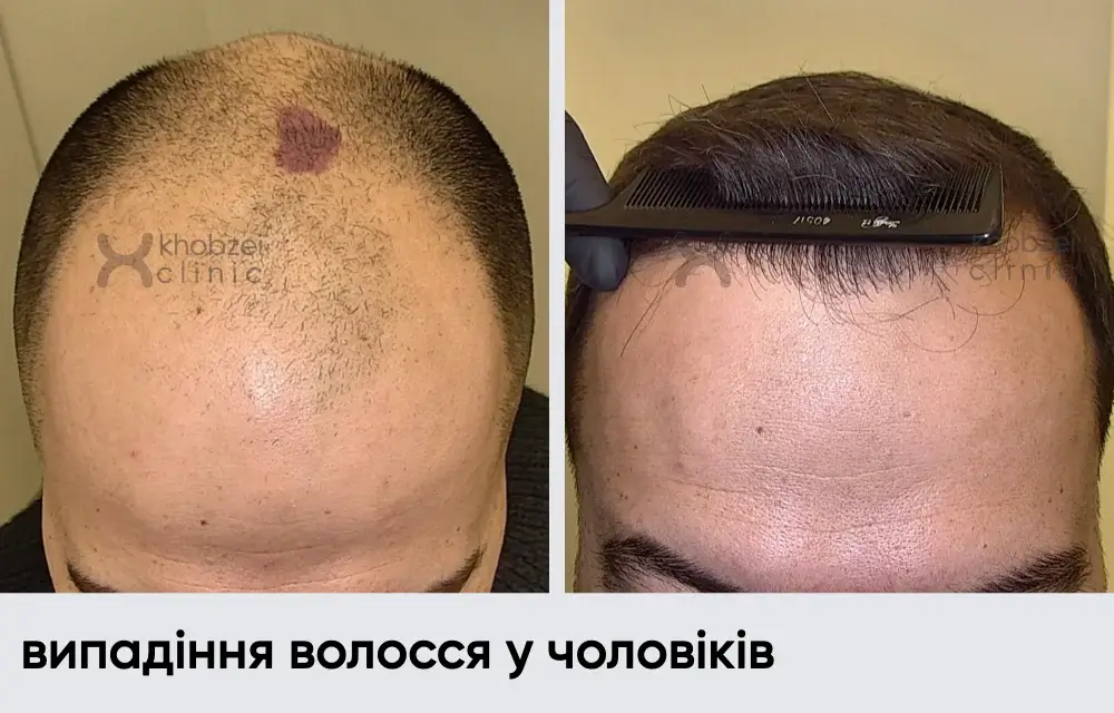 Головна 24